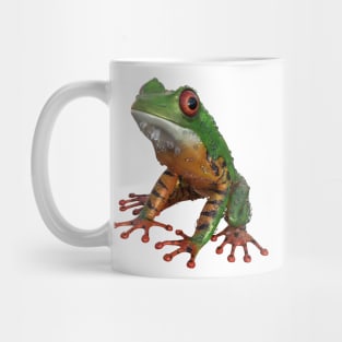 Frog/Red-Eyed Amazon Tree Frog Mug